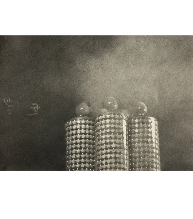 Mingjun Luo — Bon vœux — Galerie Kornfeld