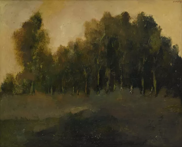 Mircea Ciobanu — Paysage