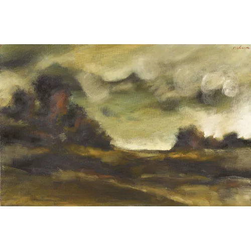 Mircea Ciobanu — Landschaftspartie mit Büschen.