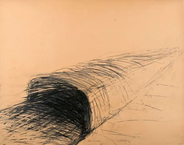 Miriam Cahn — Ohne Titel, 1977