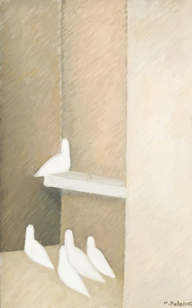Oiseaux blancs