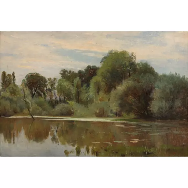 Auenlandschaft mit Büschen und Bäumen