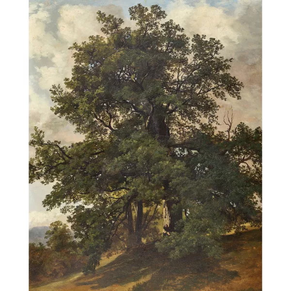 Niklaus Pfyffer von Altishofen — Landschaft mit Bäumen.
