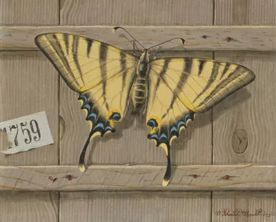 Niklaus Stoecklin — Juni 2021 (A161) - Auktionsstart: 18.6.2021, 11:15 — Schuler Auktionen