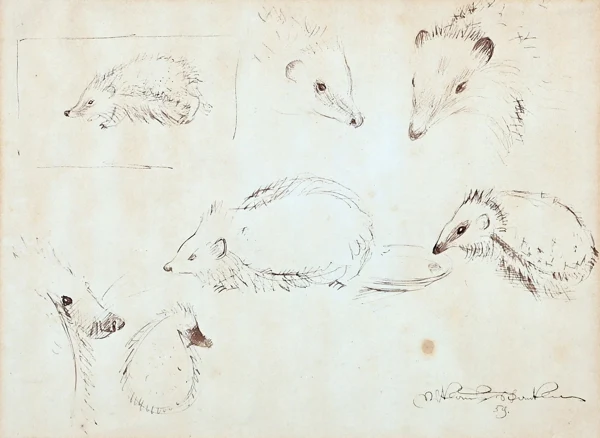 Niklaus Stoecklin — Igel-Studie, 1959