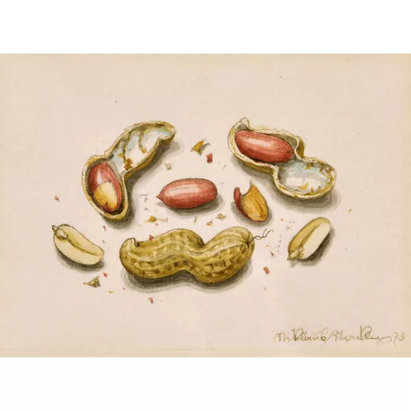Niklaus Stoecklin — Erdnüsschen.