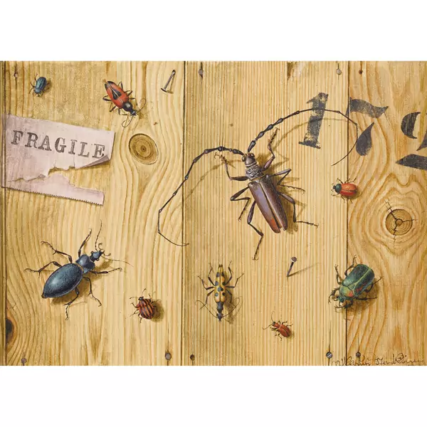Trompe-l′oeil mit Käfern
