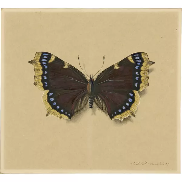 Niklaus Stoecklin — Trauermantel — Galerie Kornfeld