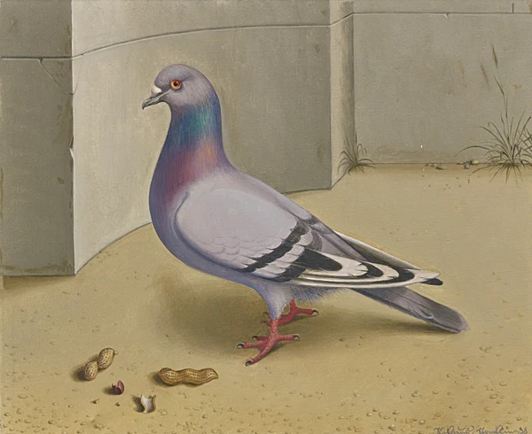 Niklaus Stoecklin — Columba livia forma domestica, 1938