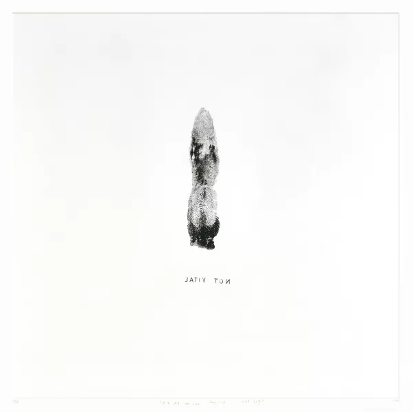 Not Vital — Tongue, 1990