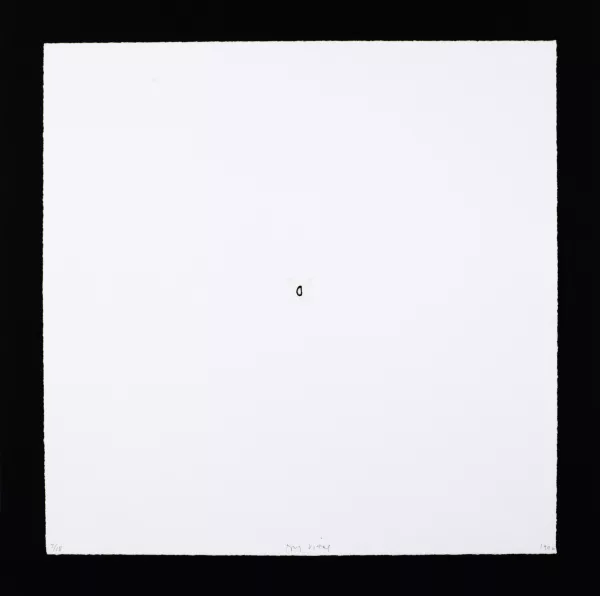 Not Vital — Portfolio. Schoppa, 1996