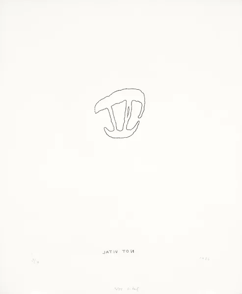 Not Vital — Portfolio. Notes, 1986