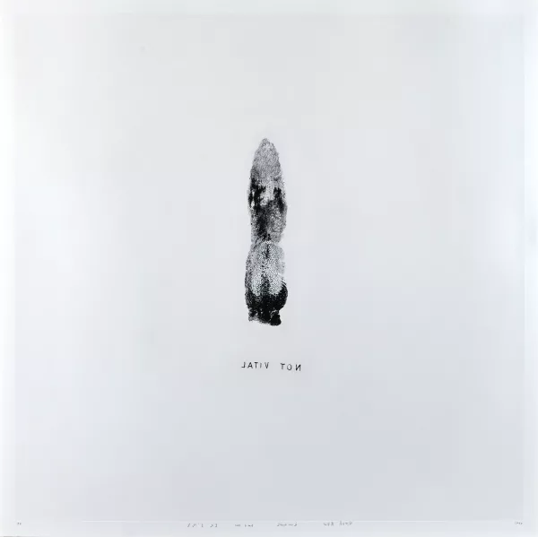 Not Vital — Tongue, 1990