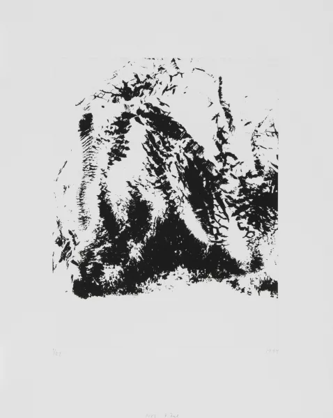 Not Vital — Portfolio. Notes, too, 1994