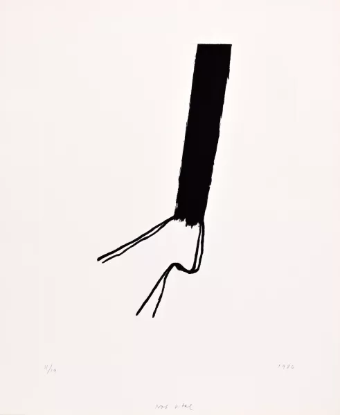 Not Vital — Portfolio. Notes, 1986