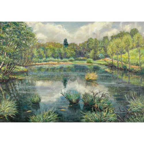 "Oermoos bei Illnau"
