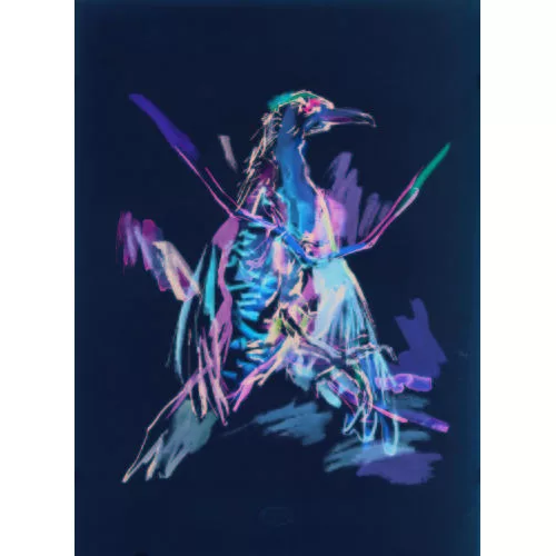 Oskar Kokoschka — Der Specht.