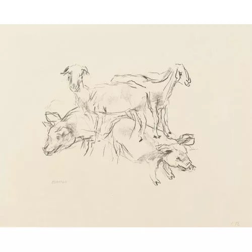 Oskar Kokoschka — "Zwei Schafe, zwei Schweinchen".