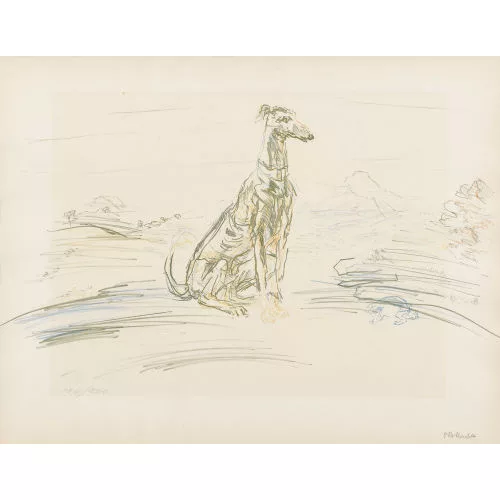 Oskar Kokoschka — Windhund.