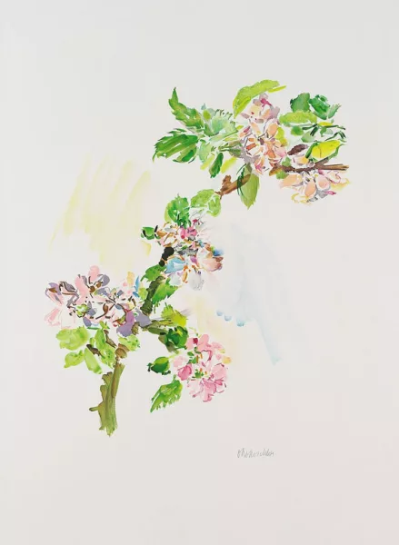 Oskar Kokoschka — Apfelblütenzweig