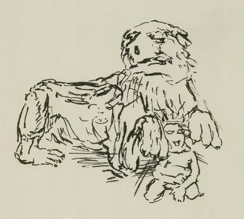 Oskar Kokoschka — Reed, A. E. Erzählung und Lithographien von O. Kokoschk