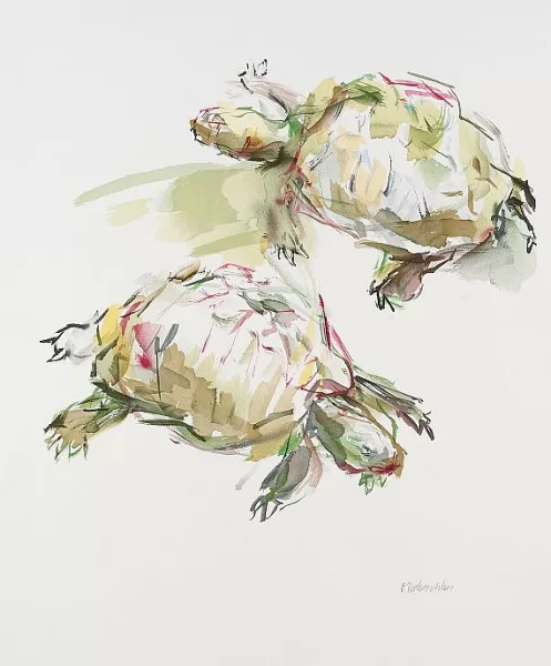 Oskar Kokoschka — Schildkröten