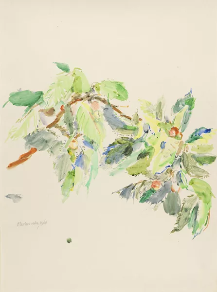 Oskar Kokoschka — Kirschzweig