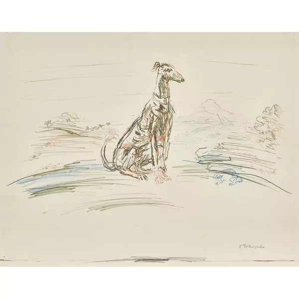 "Windhund"