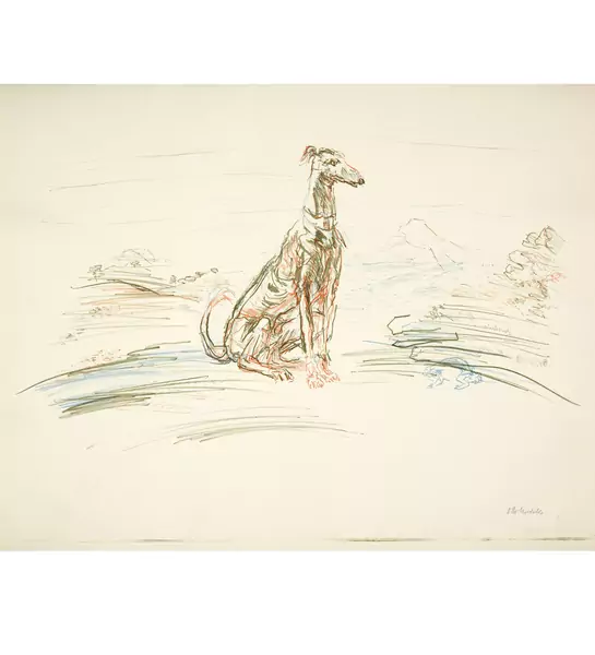 Oskar Kokoschka — Windhund — Galerie Kornfeld