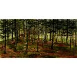 Waldpartie