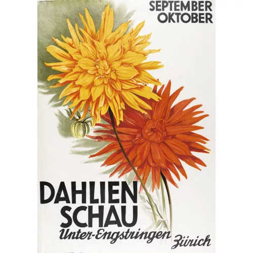 Otto Baumberger — "Dahlien Schau".
