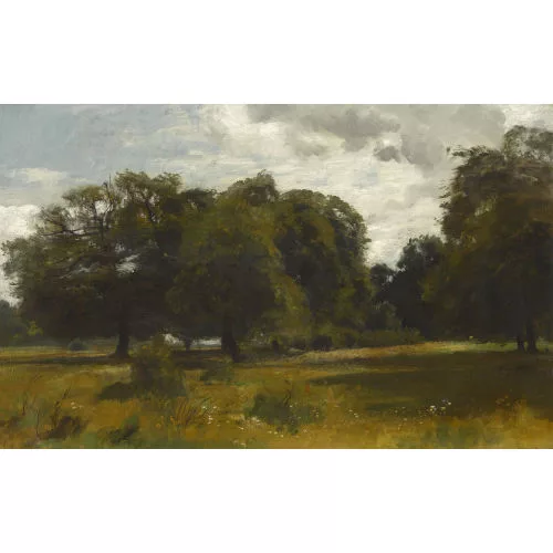 Otto Frölicher — Sommerliche Wiese am Waldrand.