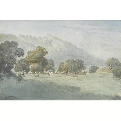 Otto Frölicher — Landschaftspartie mit Bäumen.