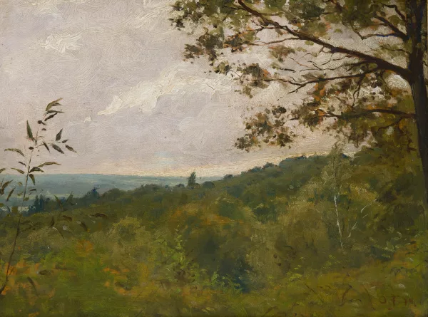 Otto Frölicher — Herbstliches Waldstück, 1874