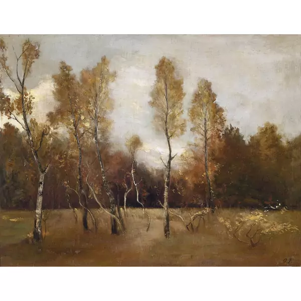 "Herbststimmung. Birken im Ried bei Solothurn"