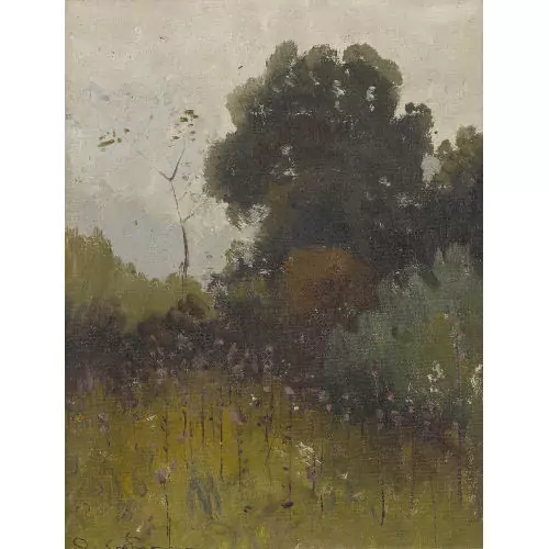 Wiesenlandschaft mit Bäumen