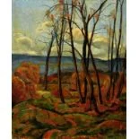 Herbstlandschaft