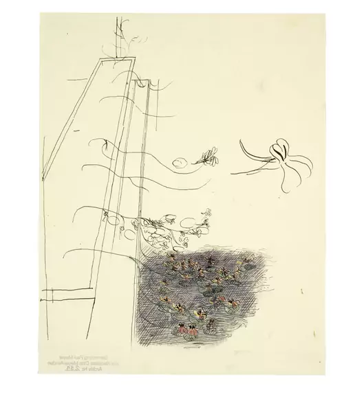 Otto Meyer-Amden — Blumenkiste mit Kapuzinerkresse — Galerie Kornfeld