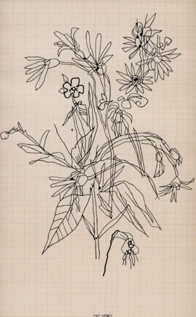 Fleurs
