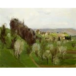 Landschaft im Baselbiet