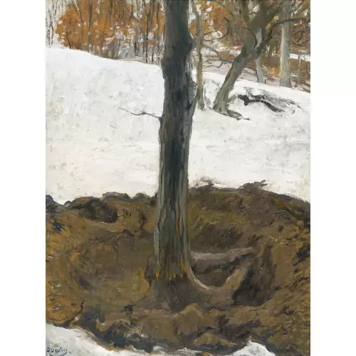 "L′arbre déraciné"