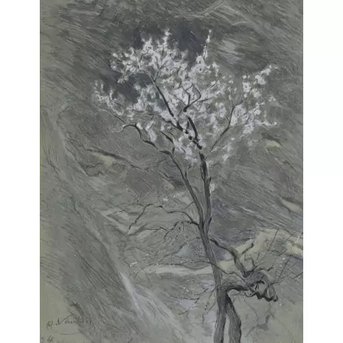 Blühender Baum