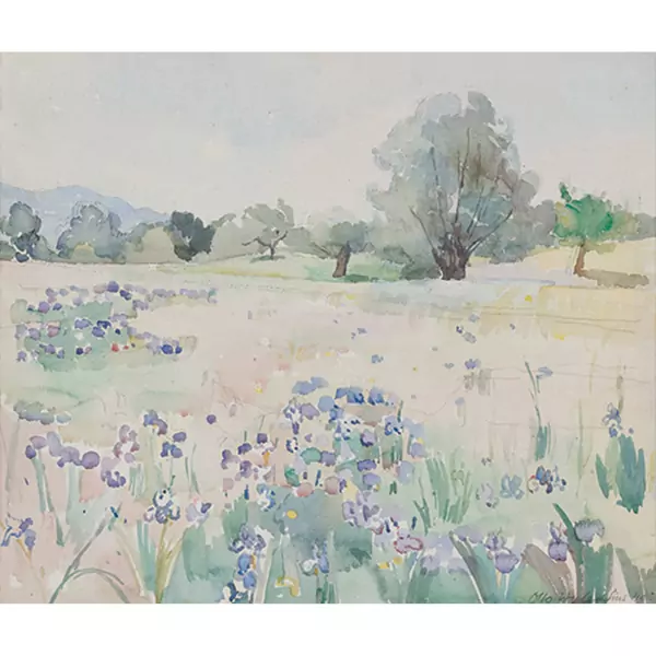 Blumenwiese bei Sins