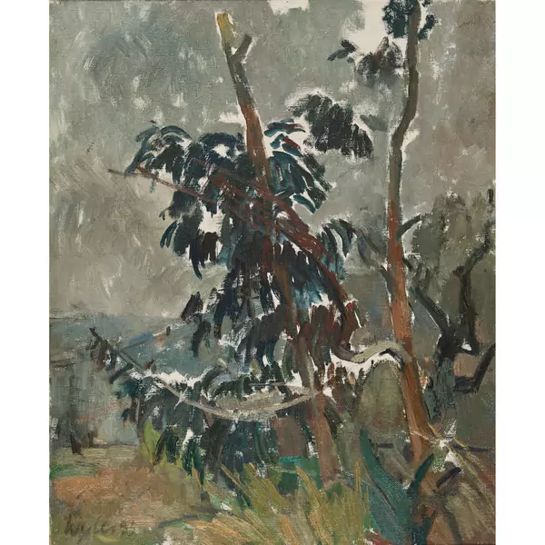 "Eukalyptus"
