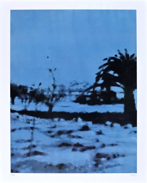 Pascal Danz — Ohne Titel