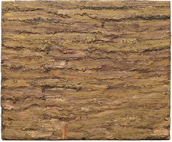 Patrick Rohner — NR 2 R, 1993