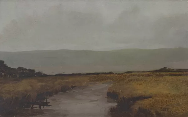 Patrick Savary — La Grande Cariçaie