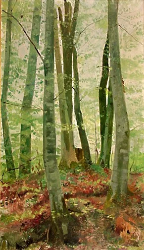 Paul Bodmer — Dolderwald, um 1930