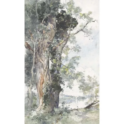 Paul Bouvier — Alter Baum am Seeufer.