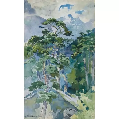 Sommerlicher Berghang mit Bäumen